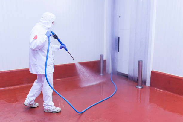 Best Gas Station Cleaning  in Mount Clemens, MI